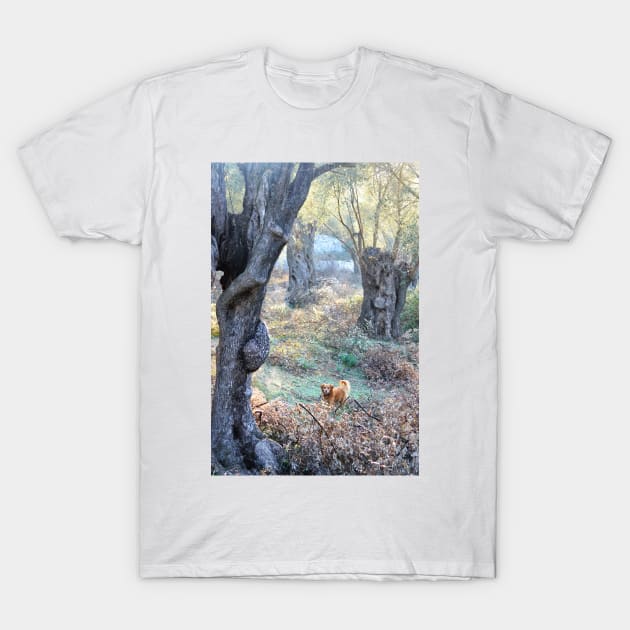 Babe in the Woods T-Shirt by aeolia